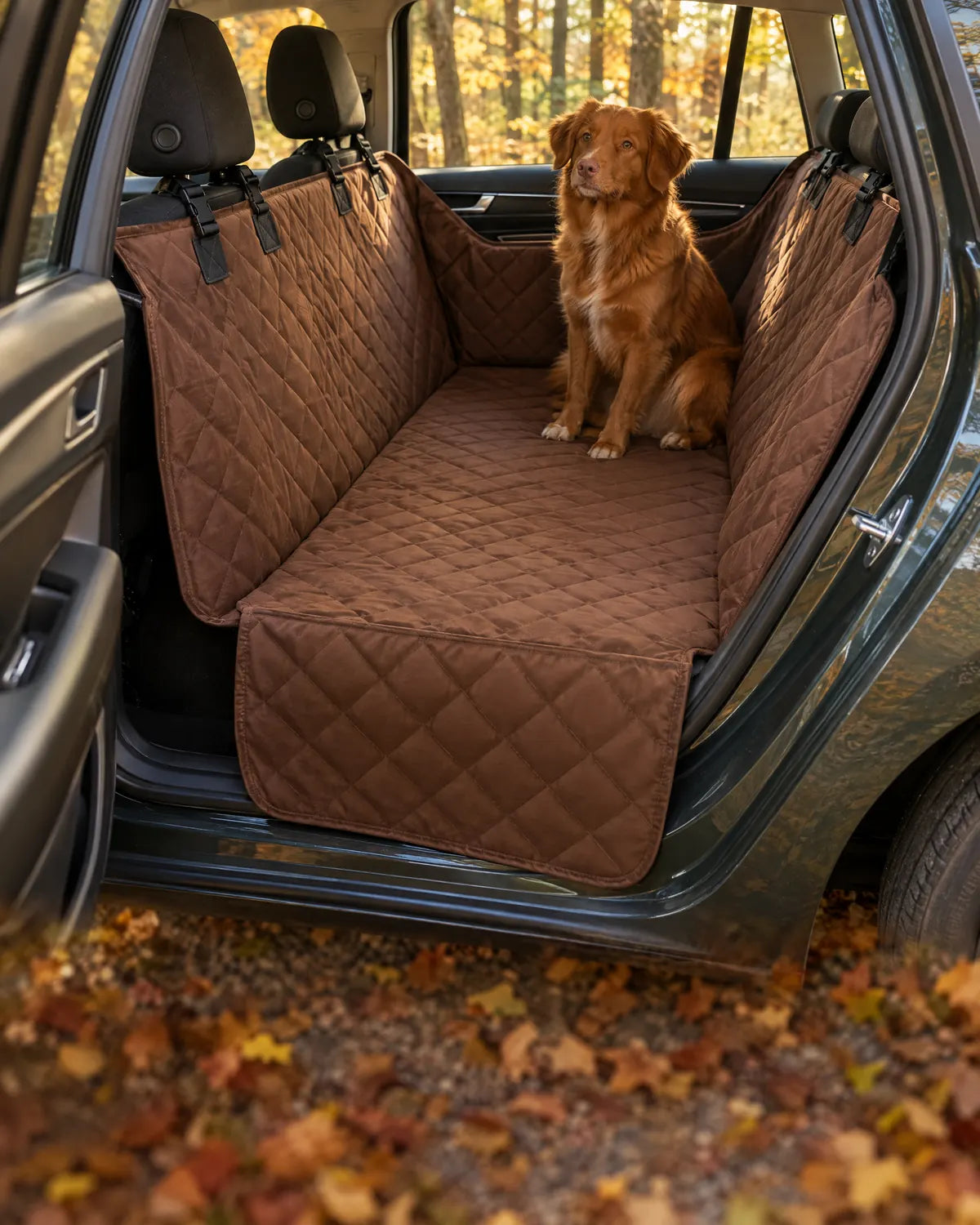 Protège-banquette hamac installé à l’arrière d’une voiture, un chien assis dessus